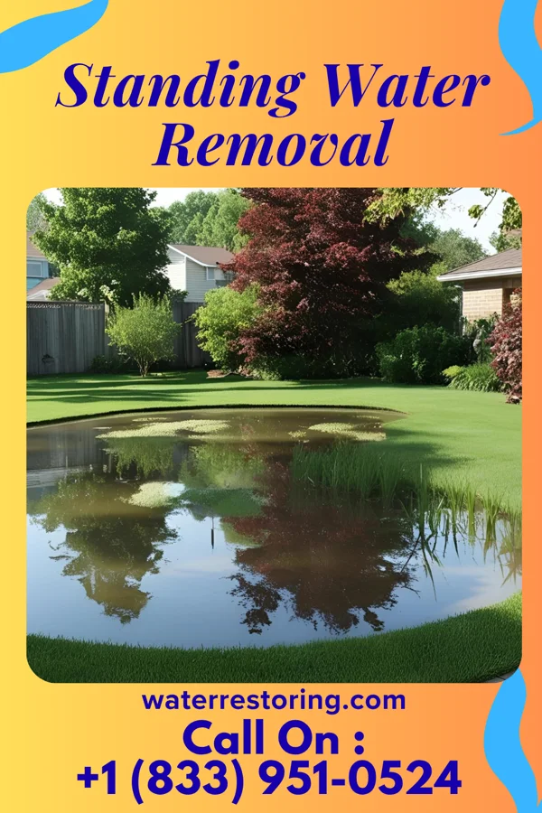 Standing Water Removal in Rockport, AR